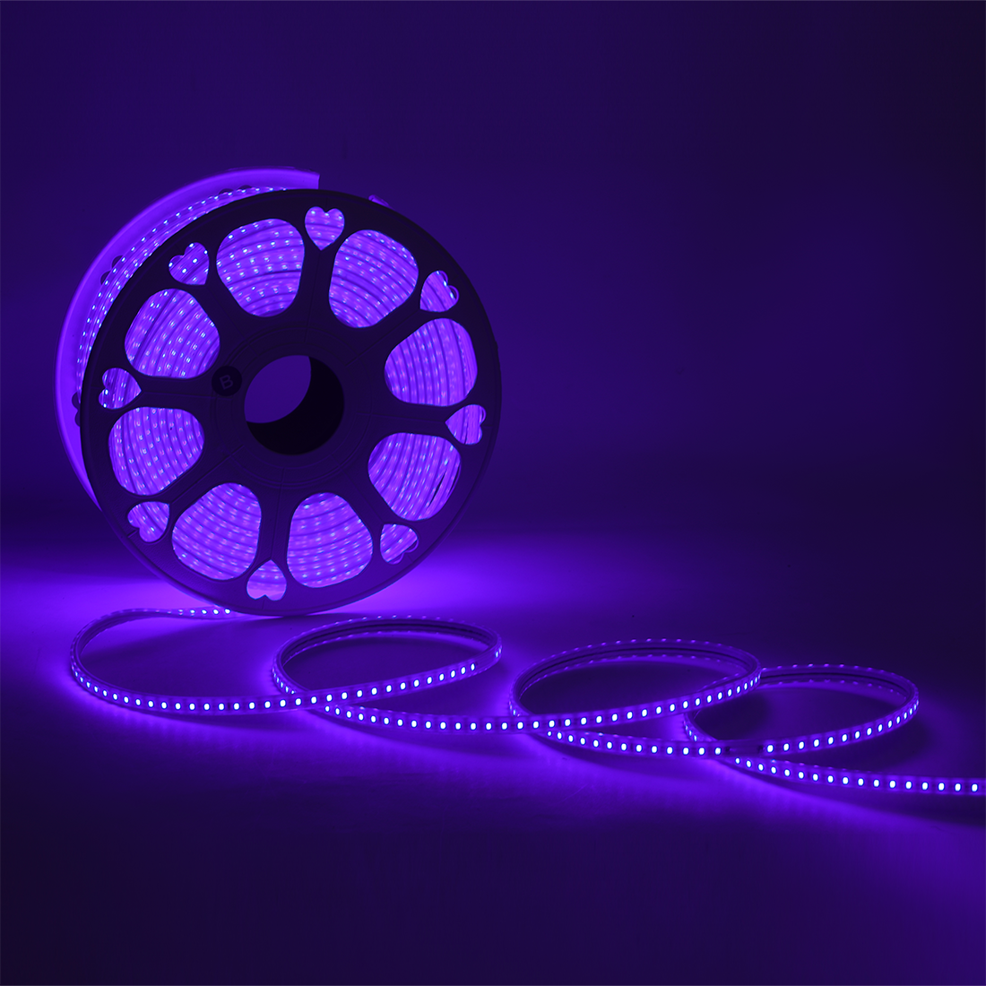JACKAL 20 Meter LED Rope Light for Decoration with Adapter, Cove Light for Ceiling, Strip Lights for Diwali Decoration, Birthday, Christmas (Blue)