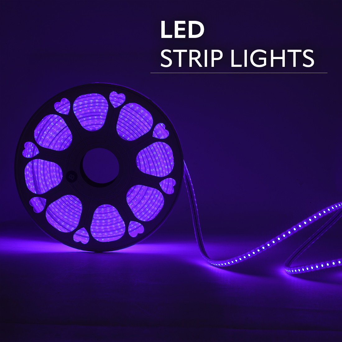 JACKAL 20 Meter LED Rope Light for Decoration with Adapter, Cove Light for Ceiling, Strip Lights for Diwali Decoration, Birthday, Christmas (Blue)