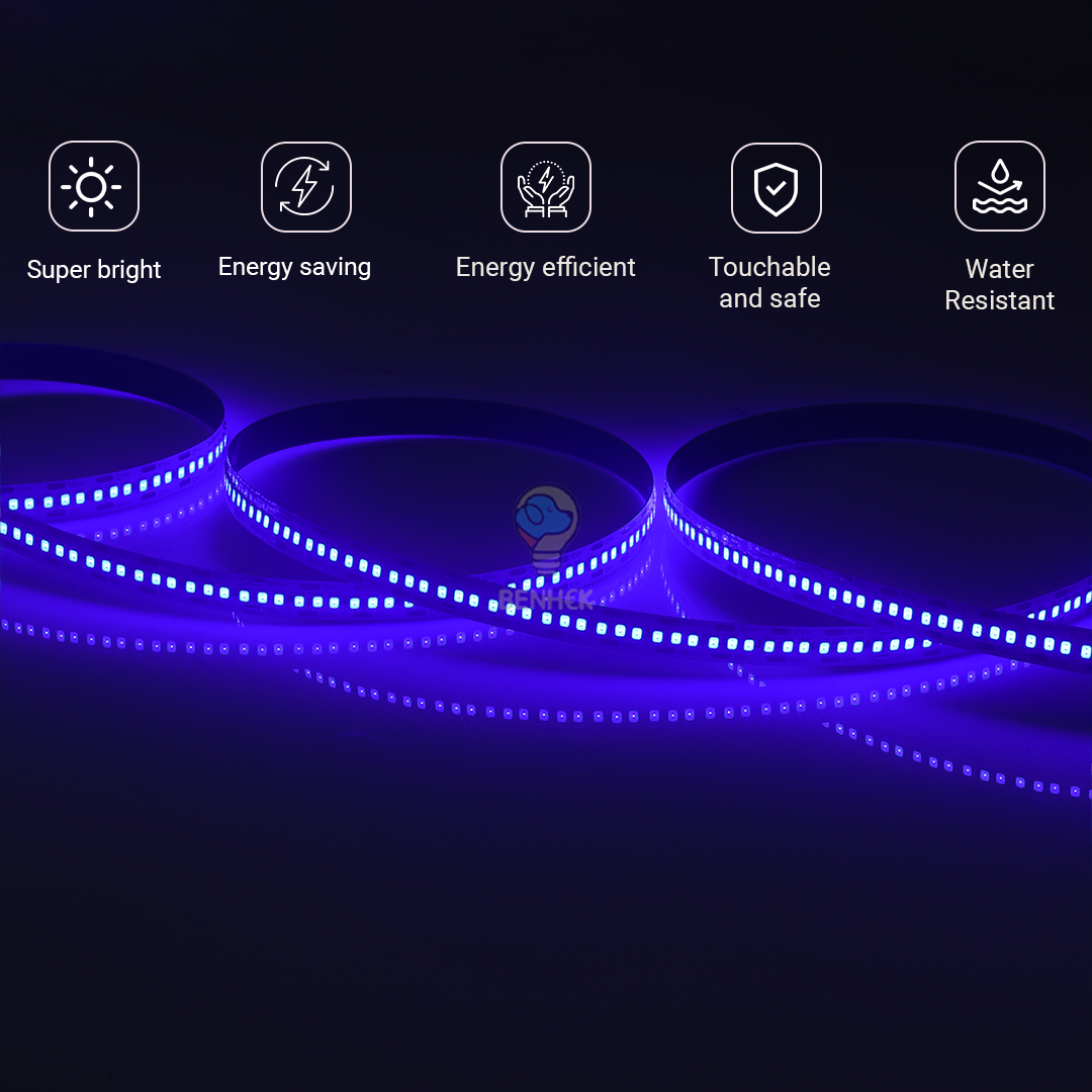 Jackal 10MM 2835 LED Flexible Strip Light – Blue