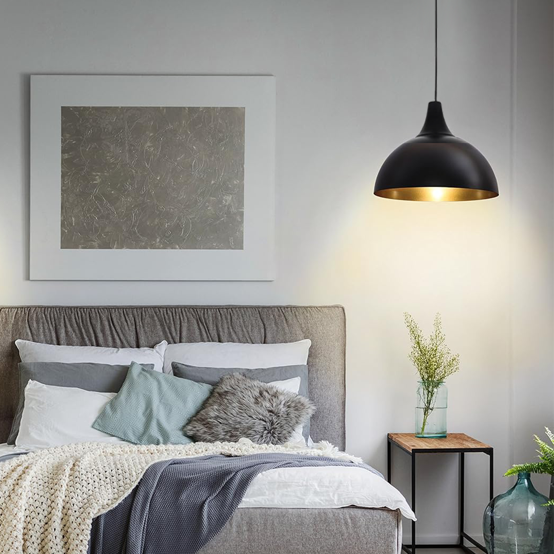 Dome Shape Hanging Light for Living Room (10 Inch)